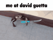 glutencord crab david guetta