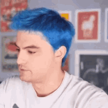 felipe neto vlogger felipe neto rodrigues vieira youtuber blue hair