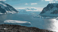 Penguins Antarctica GIF - Penguins Antarctica Landscape GIFs
