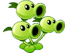 pvz