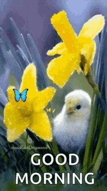 Good Morning Yellow Flower GIF - Good Morning Yellow Flower Chick GIFs