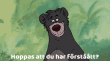 Hoppas Att Du Har Förstått Baloo GIF - Hoppas Att Du Har Förstått Baloo Förstått GIFs