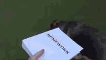 Howtobasic Homework GIF - Howtobasic Homework Dog GIFs