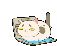 Wico Cat Laptop Sticker - Wico Cat Cat Laptop Stickers