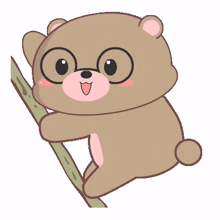 baby brown bear dancing pole dance