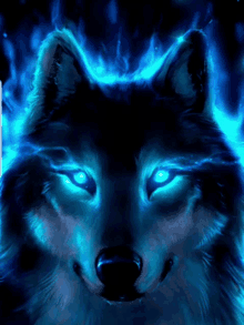 Wolf Blue GIF - Wolf Blue Stare GIFs