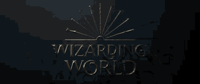 Wizarding World GIF - Wizarding World - Discover &amp; Share GIFs