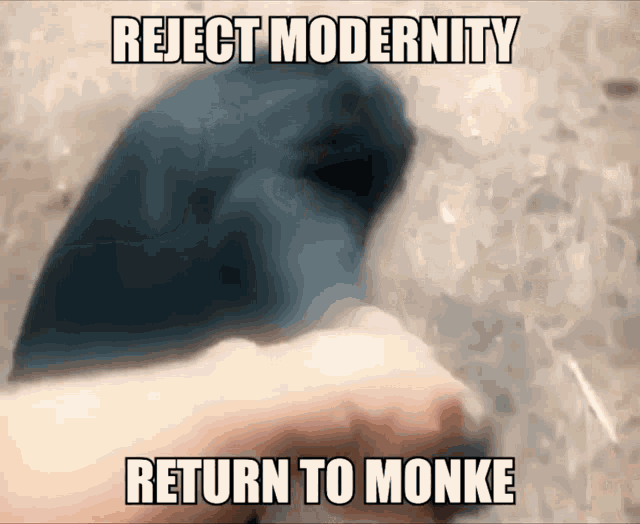 Reject Modernity,Return To Monke,monke,gif,animated gif,gifs,meme.