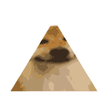 Dog Pyramid GIF - Dog Pyramid Meme GIFs