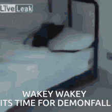Wakey Monkey GIF - Wakey Monkey GIFs