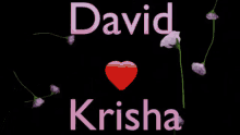 Krisha David GIF - Krisha David David And Krisha GIFs