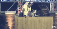 Jumping Over The Fence Americas Top Dog GIF - Jumping Over The Fence Americas Top Dog Jumping GIFs