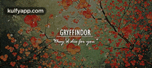 Gryffindorthey Il Die For You.Gif GIF - Gryffindorthey Il Die For You Rug Text GIFs