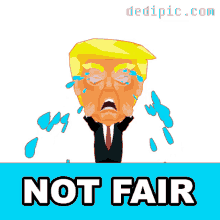 Not Fair Trump Cry GIF - Not Fair Trump Cry Trump Cries GIFs