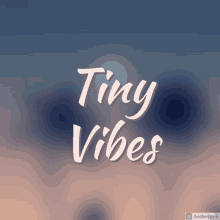 Vibe Tiny GIF - Vibe Tiny Discord GIFs