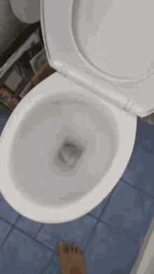 Rat Toilet GIF - Rat Toilet Poop GIFs