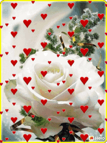 गुलाब सफ़ेदगुलाब GIF - गुलाब सफ़ेदगुलाब निमिष GIFs