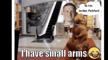 small arms jordan pickford everton