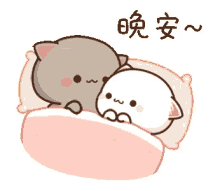 bed love mochi kiss cat