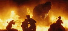 In Fire GIF - Angry Kong Kong Movie GIFs