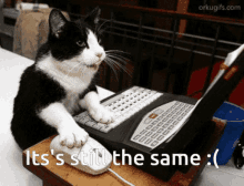 cat same
