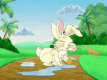 Dora The Explorer Rabbit GIF - Dora The Explorer Rabbit Lost GIFs