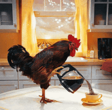 Chicken Pour GIF - Chicken Pour Coffee GIFs