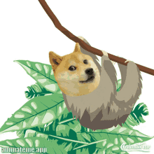 Hang In There Hanging In There GIF - Hang In There Hanging In There Sloth GIFs