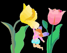 チューリップ 花　春　綺麗　自然 咲く GIF - Tulip GIFs