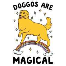 dog doggo magic magical amazing