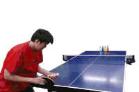 Trick Table Tennis Sticker - Trick Table Tennis Ping Pong Stickers