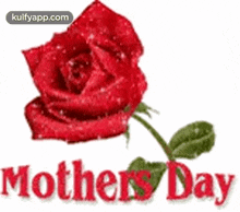 Happy Mothers Day With Sparkling Rose Gif.Gif GIF - Happy Mothers Day With Sparkling Rose Gif Mothers Day Moms Day GIFs