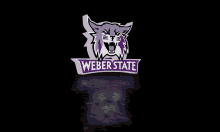weber state weber wildcats dub state