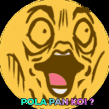 Pola Pan Koi Shocked GIF - Pola Pan Koi Shocked Surprised GIFs