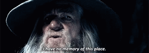 Gandalf I Have No Memory Of This Place GIF - Gandalf I Have No Memory Of This Place Idk - Discover &amp;amp; Share GIFs