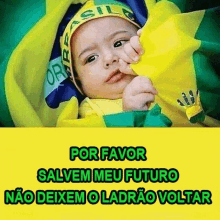 ladrao pt petralha