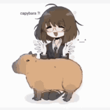 capybara anime girl capybara anime girl girl kill yourself