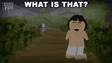 What Is That Randy Marsh GIF - What Is That Randy Marsh South Park GIFs