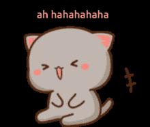 Lol Cute Kitty GIF - Lol Cute Kitty Laughing GIFs