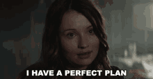 I Have A Perfect Plan Emily Browning GIF - I Have A Perfect Plan Emily Browning Laura Moon GIFs