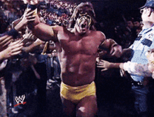 ultimate warrior ultimate warrior