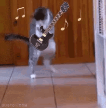 Meow Guitar Meow. GIF - Guitar Cats Meow GIFs