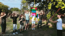 Piñata GIF - 5sf 5second Films You Tube Funny GIFs