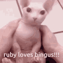 Ruby Loves Bingus GIF - Ruby Loves Bingus Bingus GIFs