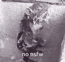 Rat Shower GIF - Rat Shower No Nsfw GIFs