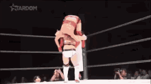 Jungle Kyona Japanese Wrestler GIF - Jungle Kyona Japanese Wrestler World Wonder Ring Stardom GIFs