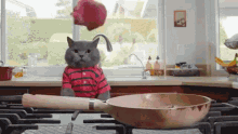 aarons cat chef kitchen cute