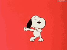 Dance Snoopy GIF - Dance Snoopy Dance Moves GIFs