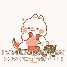 tonton watermelon cute eat hungry