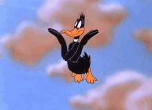 Flying GIF - Duck Flying Ducks Fly GIFs